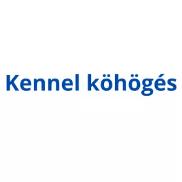 Kennel köhögés