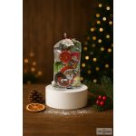 Mikulás csomag Kisállatoknak